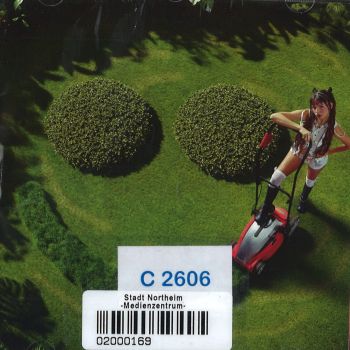 Cover des Mediums