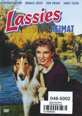 Cover des Mediums